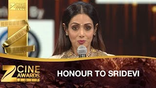 Salman Khan Honors SRIDEVI Kapoor  Zee Cine Awards 2017 [upl. by Tamar647]