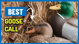 Top 5 Best Goose Call in 2023 [upl. by Nallac]