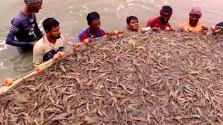 Seamark BD Vannamei Shrimp Project in Coxs Bazar Bangladesh [upl. by Leahcimal1]