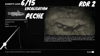 Tout Les Poissons 615 La Barbotte Jaune Localisation Red Dead Redemption 2 [upl. by Delwyn]