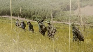 OFFICIAL MV  Màu Hoa Đỏ  Tuấn Thành [upl. by Hardunn]