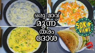 മൂന്ന് തരം ദോശ ഉണ്ടാക്കാം Variety Dosa Recipes Malayalam  Egg Dosa Recipe  Veg Dosa  Cheese Dosa [upl. by Ruskin]