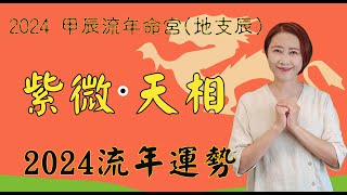 【2024甲辰年紫微流年運勢】系列流年命宮紫微、天相2024運勢 紫微、天相在辰2024流年運勢 2024流年運勢2024流年四化chinese astrology [upl. by Etteuqram686]