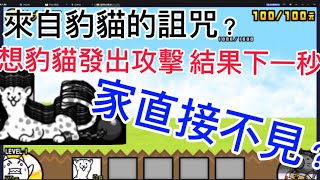 《貓咪大戰爭》慎入！豹貓真實身份是駭客？ 🔥官方的王牌🔥 家裡直接不見？？ [upl. by Analad185]