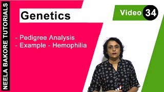 Genetics  Principles of Inheritance amp Variations  NEET  Pedigree Analysis  Example  Hemophilia [upl. by Neliac]