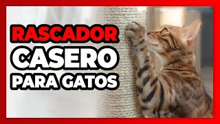 🔥 RASCADOR Para GATOS  Casero [upl. by Oiramej]