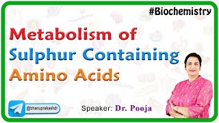 Metabolism Of Sulphur Containing Amino Acids  Biochemistry [upl. by Maffei841]