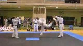 Taekwondo 540 Round House and Hook Kick Board Break [upl. by Malinin939]