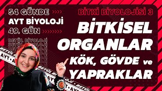 49 Bitkisel Organlar  Bitki Biyolojisi  12 Sınıf Biyoloji  2024 AYT Biyoloji 49 Gün [upl. by Juan]