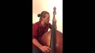 Fifths tuning etude upright bass [upl. by Ayidan]