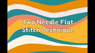 Beadwork Tutorial  Two Needle Flat Stitch Technique [upl. by Myles]