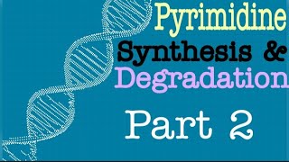 Pyrimidine Synthesis and Degradation Part 2  Lecture 10 [upl. by Boyce]