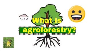 What is Agroforestry [upl. by Sugna]