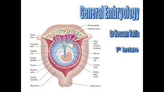 1st Lecture Gametogenesis and Fertilization [upl. by Peony]