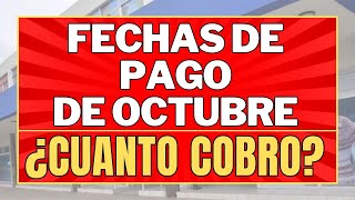 ✨FECHAS de PAGO Octubre 2024 Anses  CUANTO COBRO [upl. by Bolton]