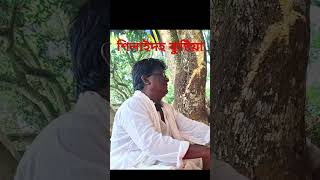 রবীন্দ্রনাথের কুঠিবাড়ি কুষ্টিয়া। Kustia Shilaidoho [upl. by Tabatha]