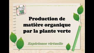 Production de matière organique par la plante verte expérience virtuelle [upl. by Auop278]