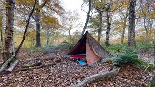 Hungarian Zeltbahn shelter in the woods with parakeet tweets [upl. by Tawnya]