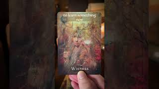 Next Big Blessing’s Heading Into Your Life ✨ tarot tarotreader [upl. by Pepper637]