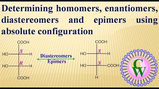 Determining homomers enantiomers diastereomers and epimers using absolute configuration [upl. by Denn980]