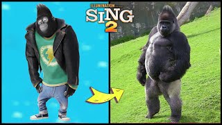 Sing 2 Characters In Real Life And Other Favorites [upl. by Vickie417]