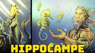 Hippocampe  Les Incroyables Hippocampes de la Mythologie Grecque [upl. by Sirroned908]