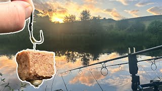 Targeting Wels Catfish  Rigs Tips and Setup [upl. by Church]