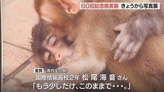 県美術展「写真展」開幕 瞬間を切り取る感性豊かな375点 今回から高校生の作品も [upl. by Bohun]