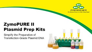 Protocol Plasmid Purification In Just 20 Minutes  Zymo Research [upl. by Haley648]