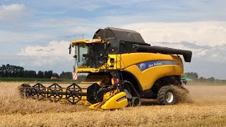 Loonwerk De Bruyne  New Holland CX8090  triticale [upl. by Dez205]