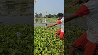 😲How to fish with arrow bowpart02 ikan busur peşte ikan shorts vairal channa [upl. by Ellynad]