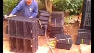 How to turn a Swimming Pool to Rainwater Harvesting  Enviroscape LA [upl. by Edmonda]