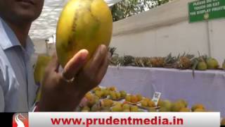 HOW TO IDENTIFY MANGOES NATURAL OR CHEMICALLY RIPENED  │Prudent Media Goa [upl. by Pasquale]