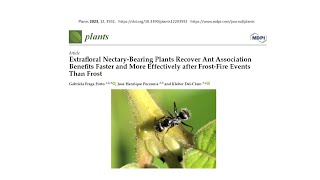 Extrafloral NectaryBearing Plants after FrostFire EventsT [upl. by Ahsiem]