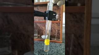 lead acetate and potassium iodide experiment chemicalanalysis science acidicradicals chemistry [upl. by Sugden20]