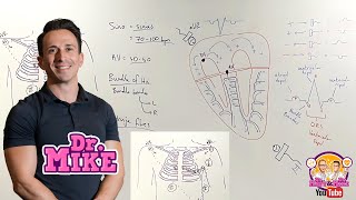 Understanding ECGs  From Placement to Interpretation [upl. by Polik703]