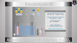 Electrolysis of Copper Sulphate Solution [upl. by Asiilanna]