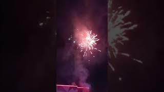 Damodar City Labasa Fireworks 2024 [upl. by Ylas]