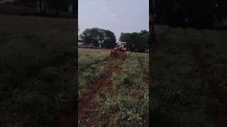 Groundnut oil farming farmer groundnut [upl. by Menashem63]