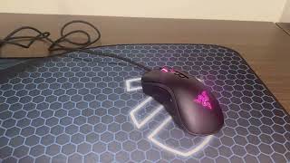 Razer DeathAdder V2 Special Edition Gaming Mouse Quick Review [upl. by Aicirtap897]