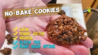 NoBake Cookies [upl. by Kristin]