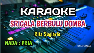 Srigala Berbulu domba  Karaoke  Rita sugiarto  Nada Pria [upl. by Favata506]