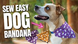 🐶 Sew a DIY Over the Collar Dog Bandana in 15 Minutes or Less [upl. by Gresham]