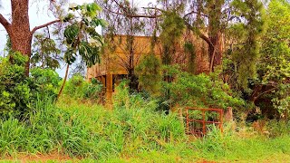 Família Inteira Abandona Casa com Tudo Dentro Móveis Raros de Alto Valor Guarda Roupa Cristaleira [upl. by Ohploda]