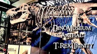 TRex Trinity im DinoMuseum Aathal [upl. by Four]