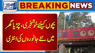 Big News From Lahore Zoo  Lahore News HD [upl. by Mihar894]