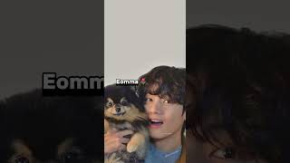 Im yeontans Eomma okay🌚 bts v yeontan taehyung [upl. by Koorb538]