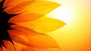 Louise Hay  Assisting In Your Own Healing [upl. by Ellerud436]