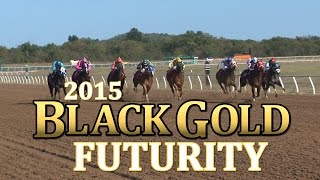 2015 Black Gold Futurity 350 Championship preview [upl. by Anelys441]