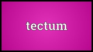 Tectum Meaning [upl. by Shandee]